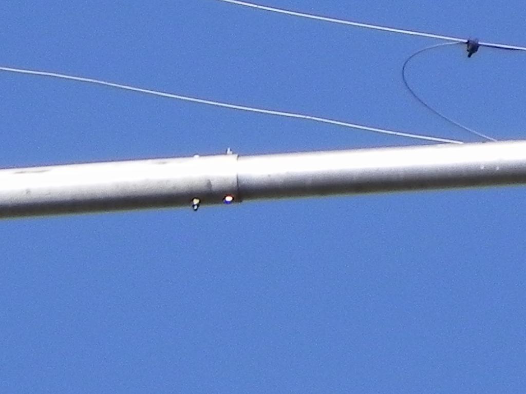 DSCN1658