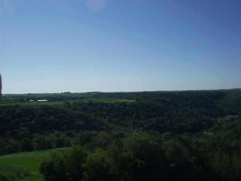 View from the tower to the SE