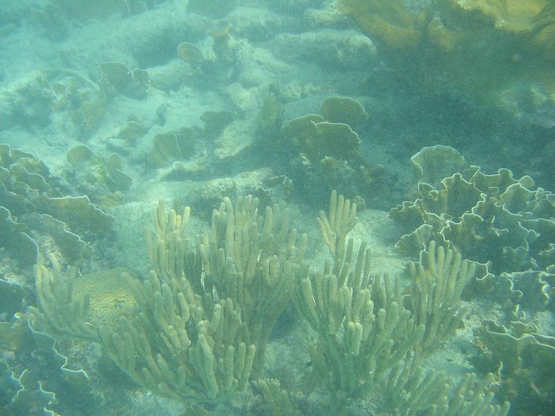 IMG_9850.JPG