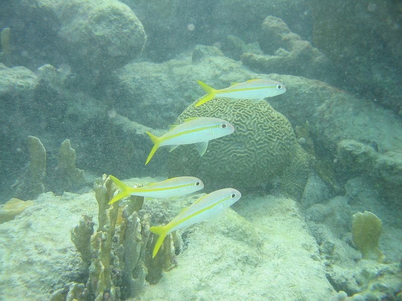 IMG_9854.JPG