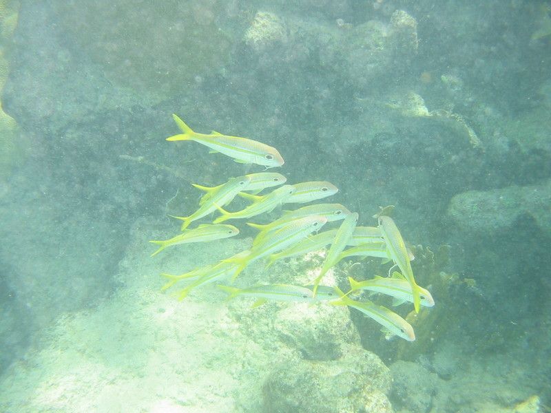 IMG_9858.JPG