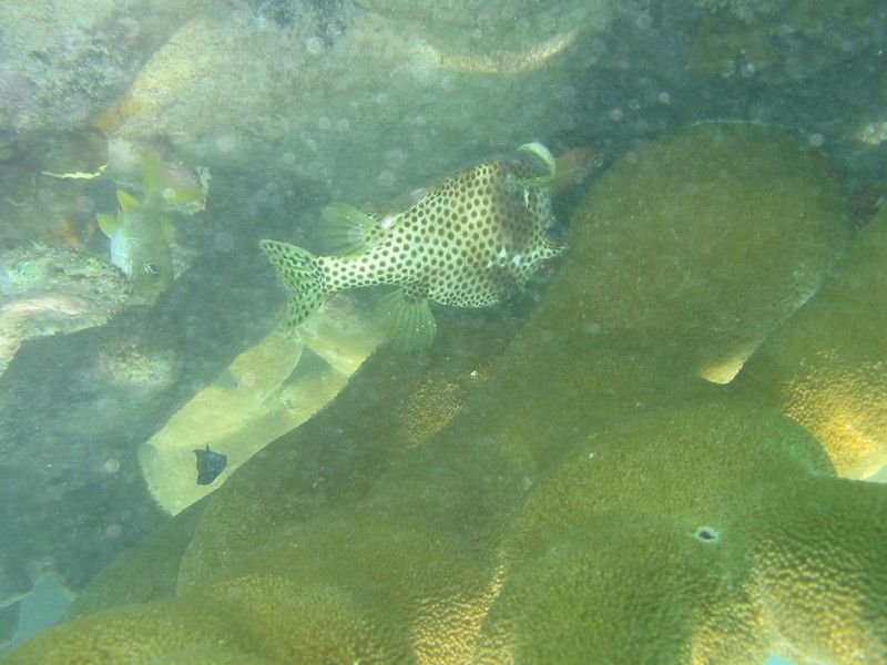 IMG_9868.JPG