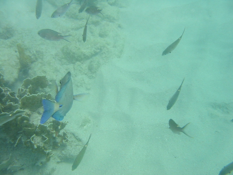 IMG_9869.JPG