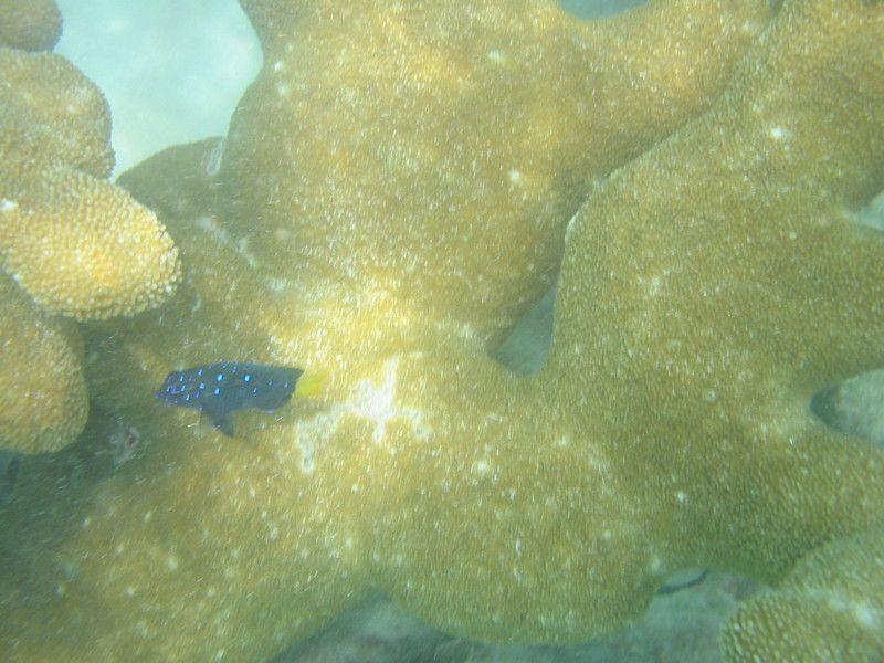 IMG_9874.JPG