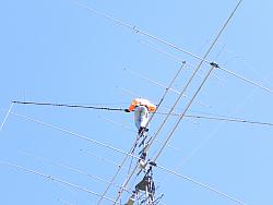DSCN1641