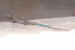 100_4596.JPG