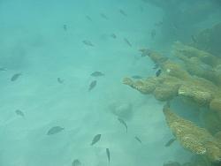 IMG_9845.JPG