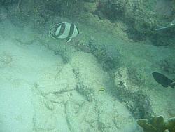 IMG_9847.JPG