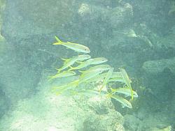 IMG_9858.JPG
