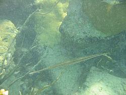 IMG_9861.JPG