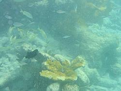 IMG_9864.JPG
