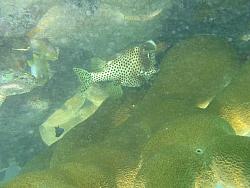IMG_9868.JPG