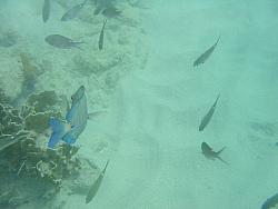 IMG_9869.JPG