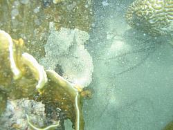 IMG_9873.JPG