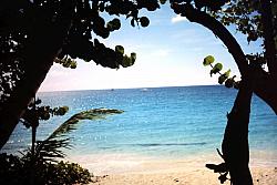 11-9-2009_005.JPG