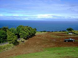 DSC013551